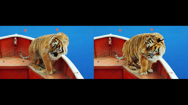 Life-of-Pi_03